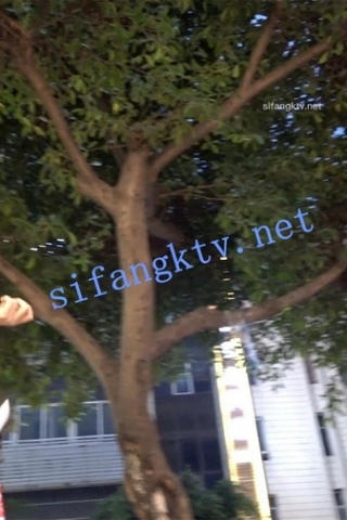 kc519（空城原创）长时间跟拍连衣裙口罩妹子，粉色可爱窄N